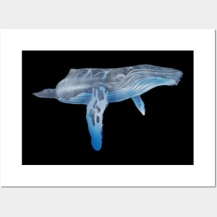 Humpback whale Posters and Art